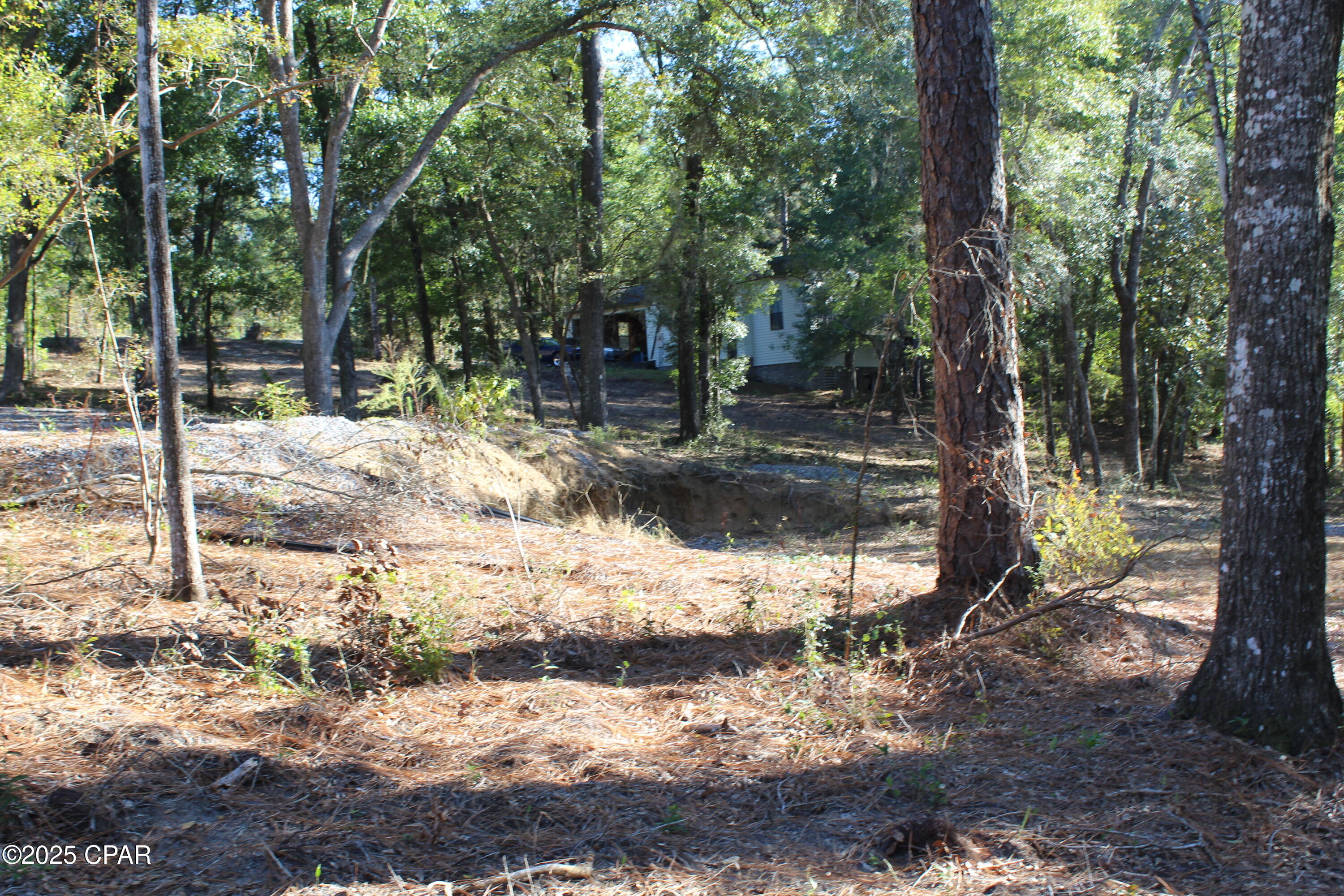 Lot 21 Paradise Lakes Road Chipley, FL 32428 - Photo 12 of 46