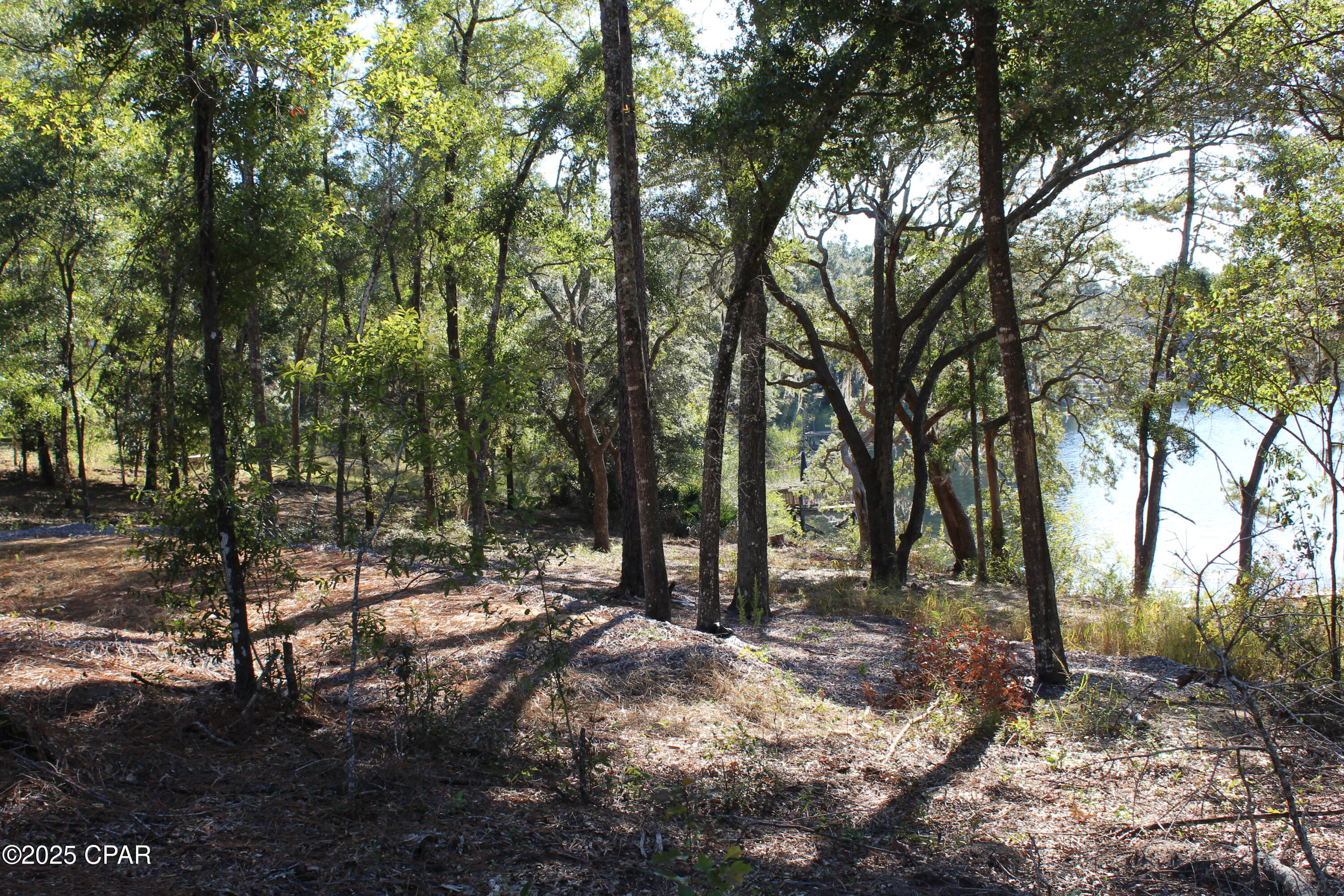 Lot 21 Paradise Lakes Road Chipley, FL 32428 - Photo 13 of 46