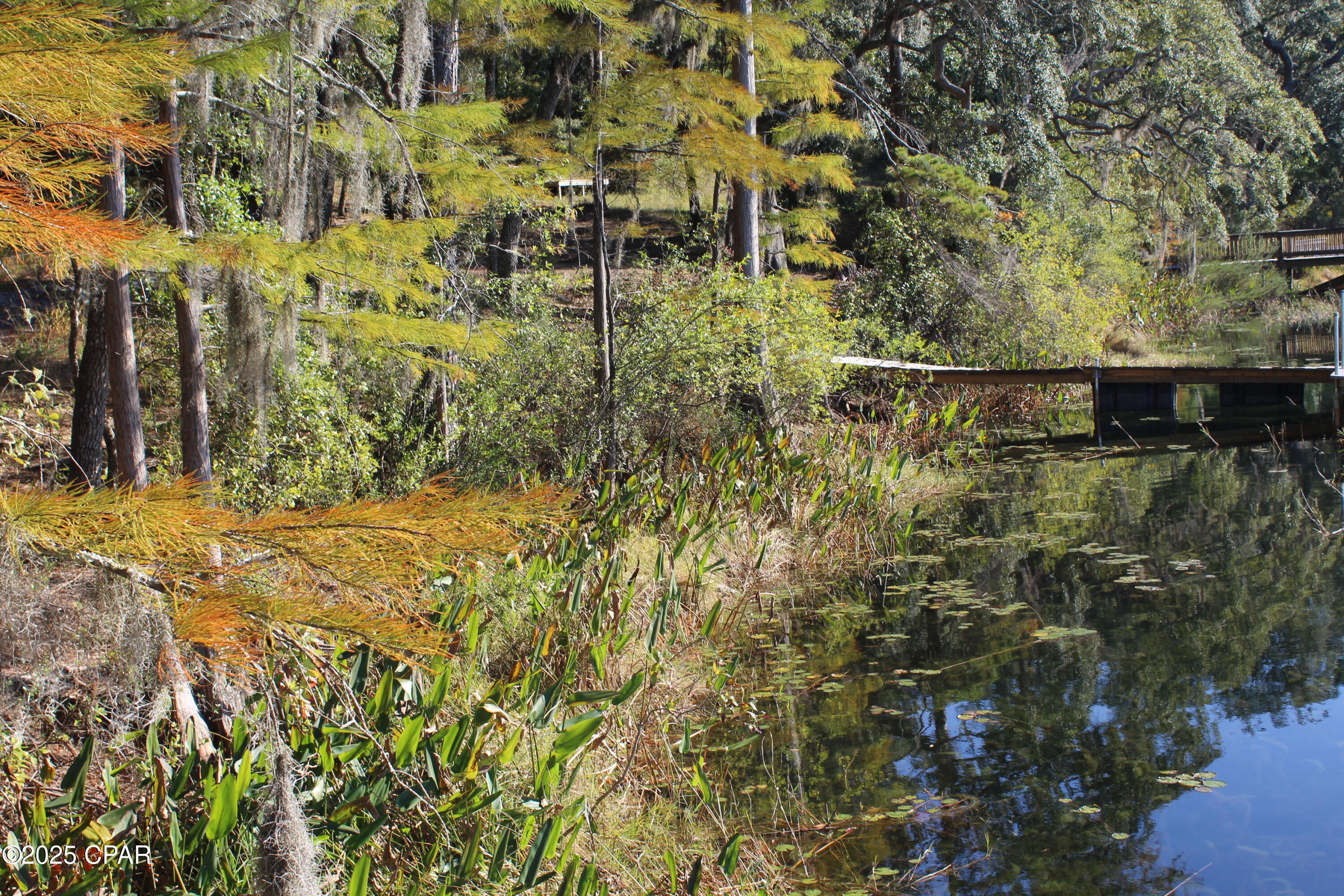 Lot 21 Paradise Lakes Road Chipley, FL 32428 - Photo 14 of 46