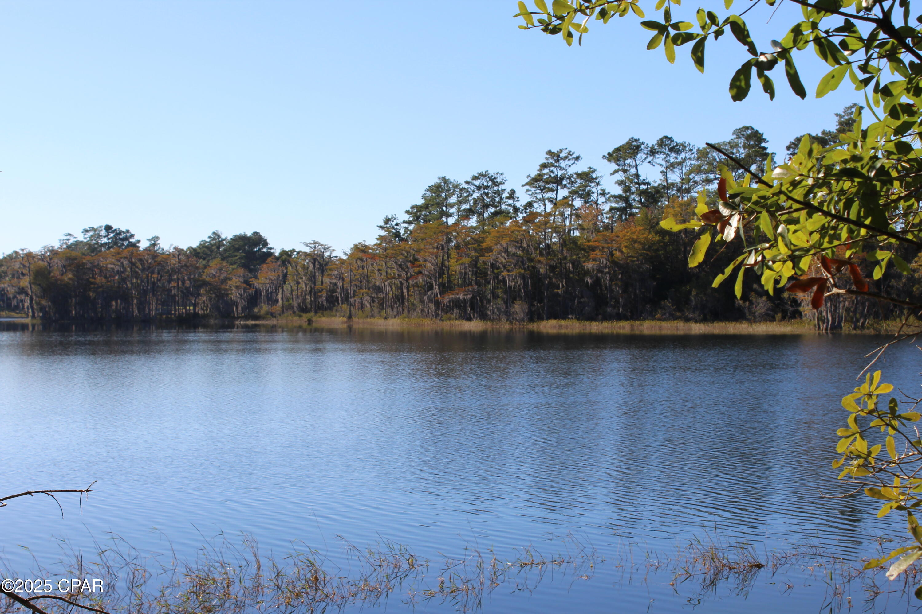 Lot 21 Paradise Lakes Road Chipley, FL 32428 - Photo 16 of 46