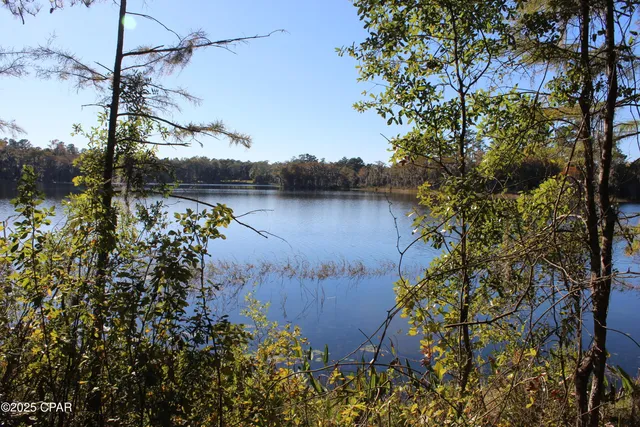 $85,000 | Lot 21 Paradise Lakes Road, Chipley, FL 32428