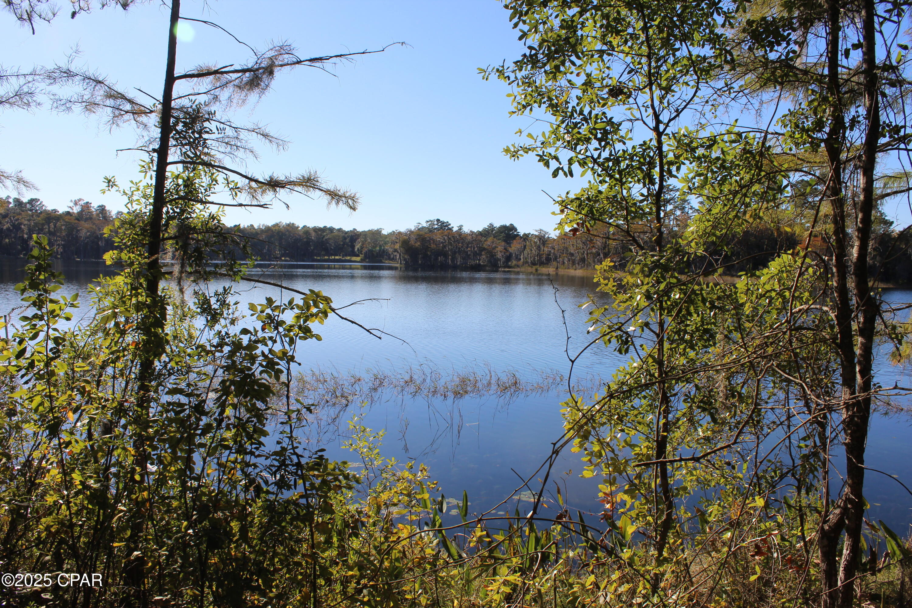 Lot 21 Paradise Lakes Road Chipley, FL 32428 - Photo 17 of 46