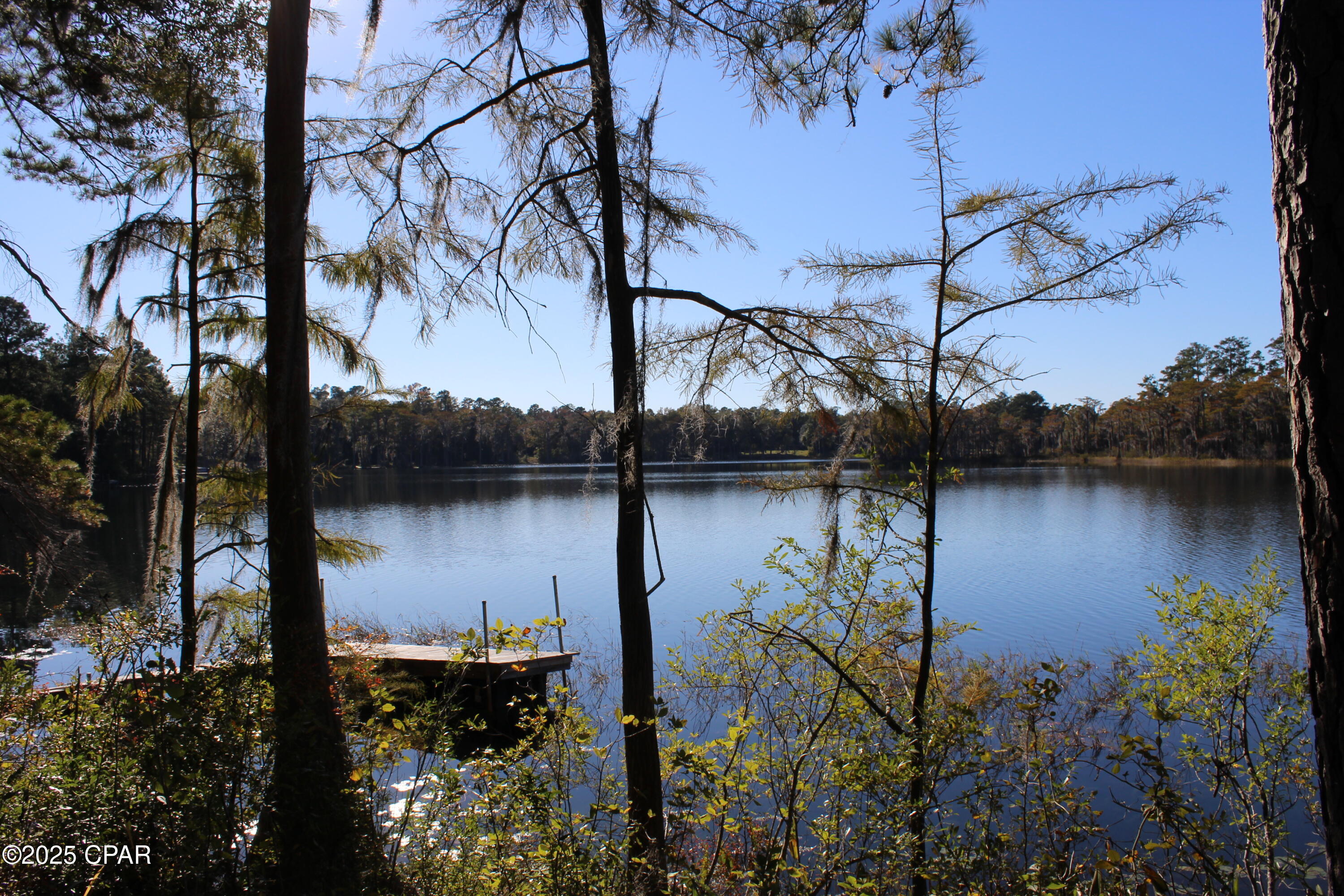 Lot 21 Paradise Lakes Road Chipley, FL 32428 - Photo 18 of 46