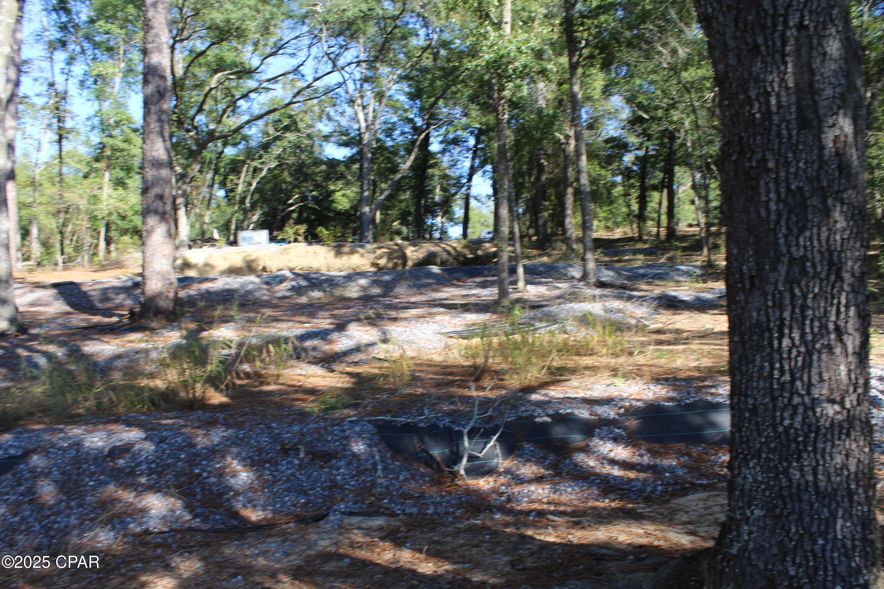 Lot 21 Paradise Lakes Road Chipley, FL 32428 - Photo 19 of 46