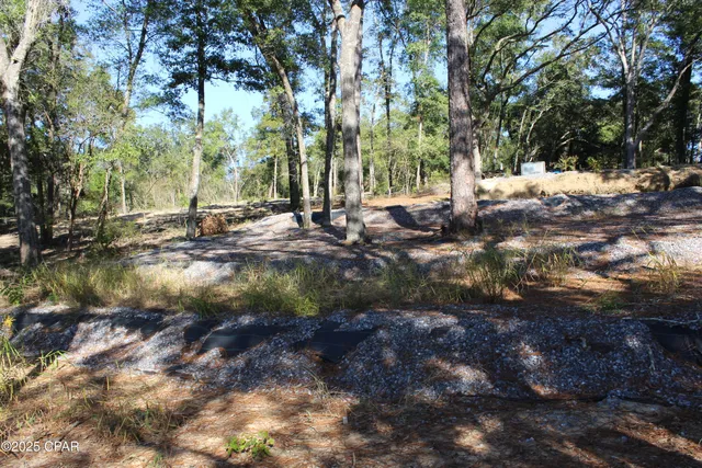 $85,000 | Lot 21 Paradise Lakes Road, Chipley, FL 32428