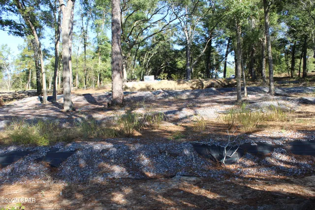$85,000 | Lot 21 Paradise Lakes Road, Chipley, FL 32428