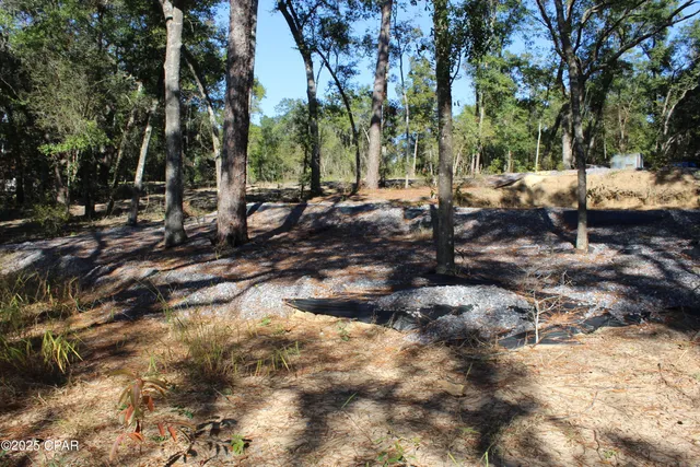 $85,000 | Lot 21 Paradise Lakes Road, Chipley, FL 32428