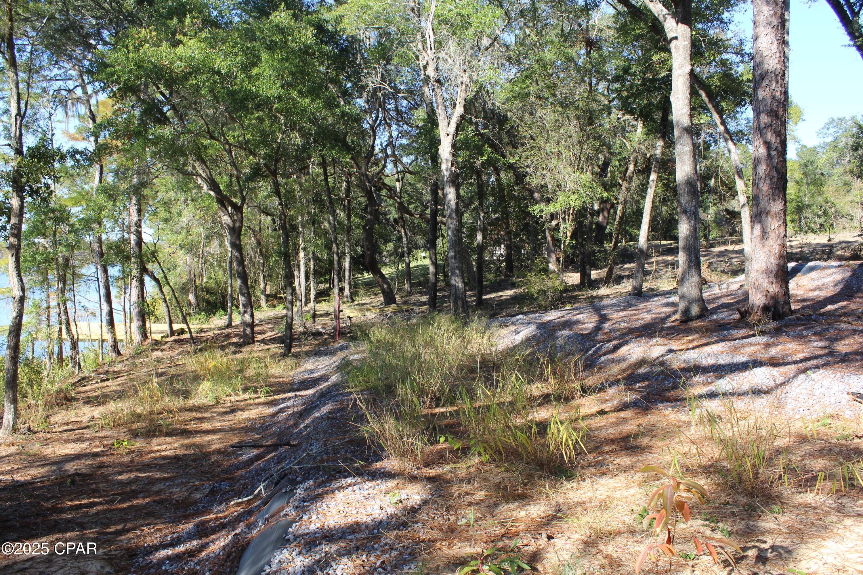 Lot 21 Paradise Lakes Road Chipley, FL 32428 - Photo 27 of 46