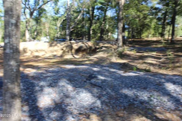 $85,000 | Lot 21 Paradise Lakes Road, Chipley, FL 32428