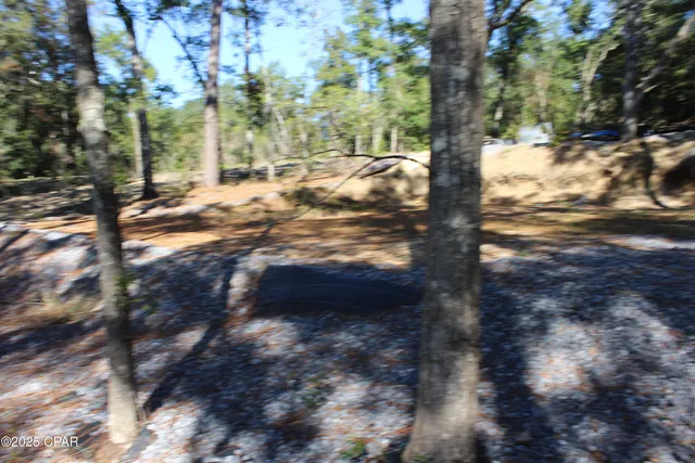 $85,000 | Lot 21 Paradise Lakes Road, Chipley, FL 32428