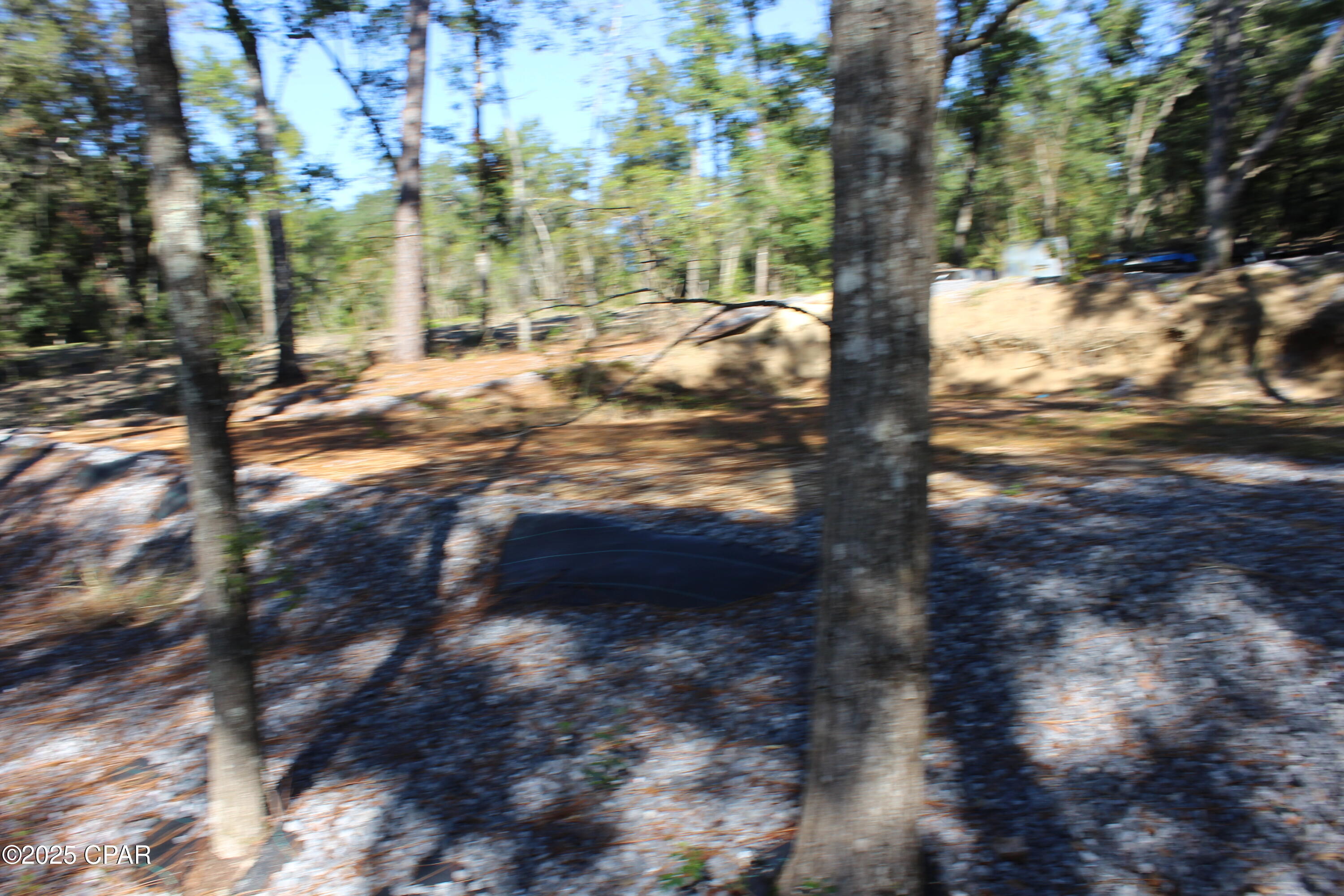 Lot 21 Paradise Lakes Road Chipley, FL 32428 - Photo 30 of 46