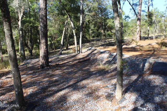$85,000 | Lot 21 Paradise Lakes Road, Chipley, FL 32428