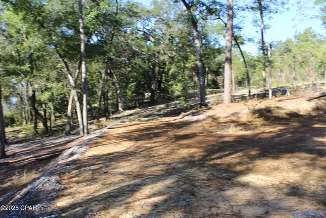 $85,000 | Lot 21 Paradise Lakes Road, Chipley, FL 32428