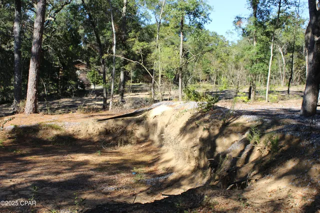 $85,000 | Lot 21 Paradise Lakes Road, Chipley, FL 32428