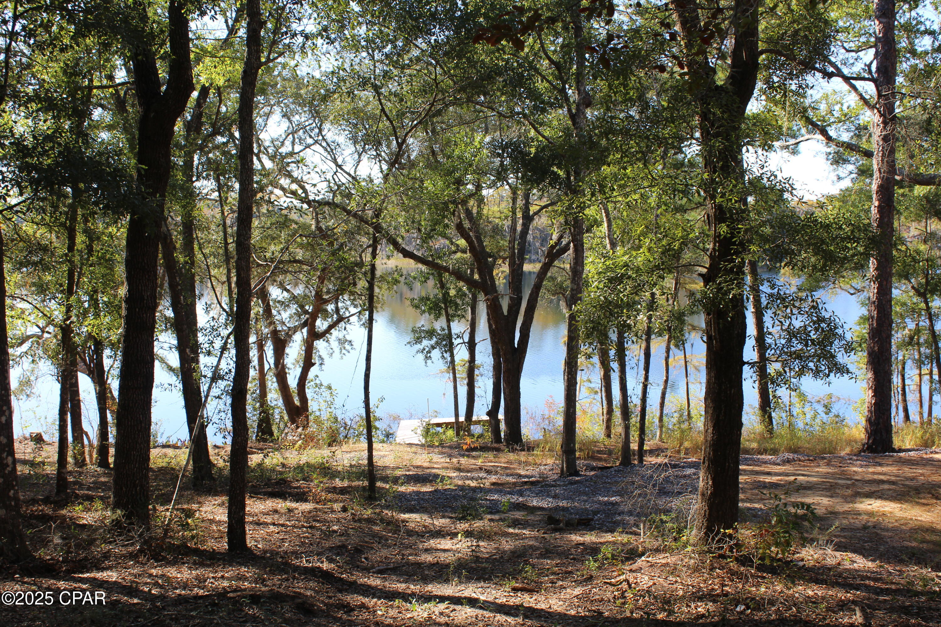 Lot 21 Paradise Lakes Road Chipley, FL 32428 - Photo 36 of 46