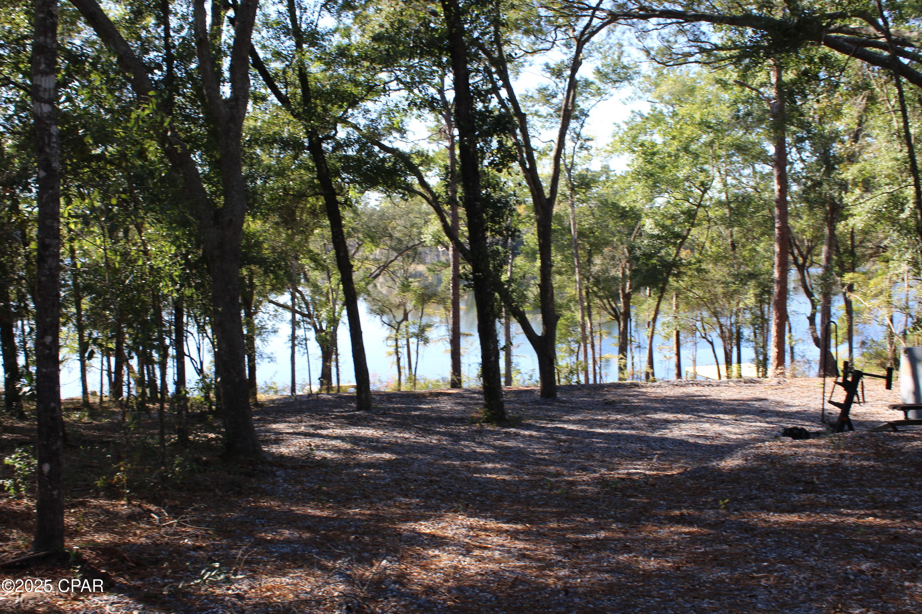 Lot 21 Paradise Lakes Road Chipley, FL 32428 - Photo 39 of 46