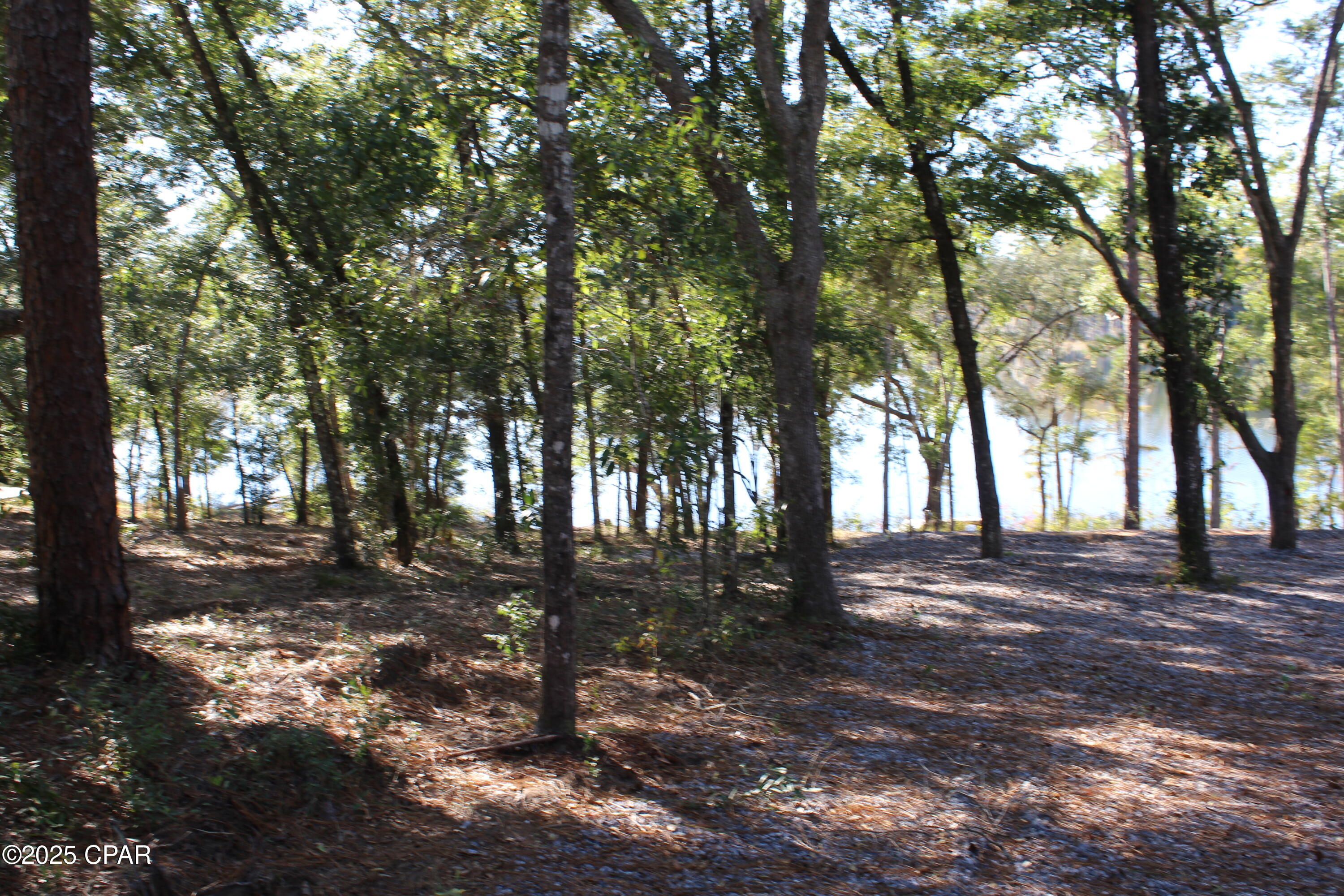 Lot 21 Paradise Lakes Road Chipley, FL 32428 - Photo 40 of 46