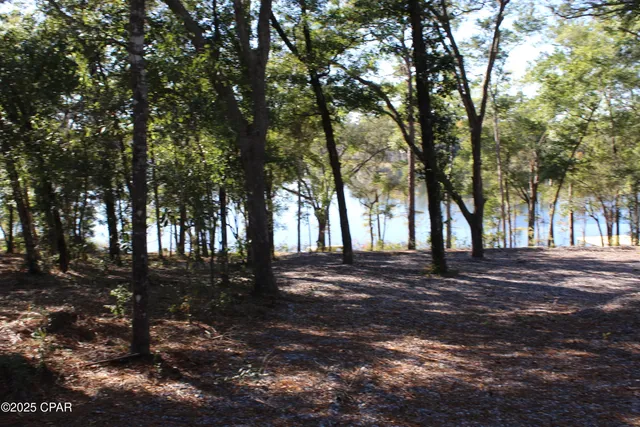 $85,000 | Lot 21 Paradise Lakes Road, Chipley, FL 32428