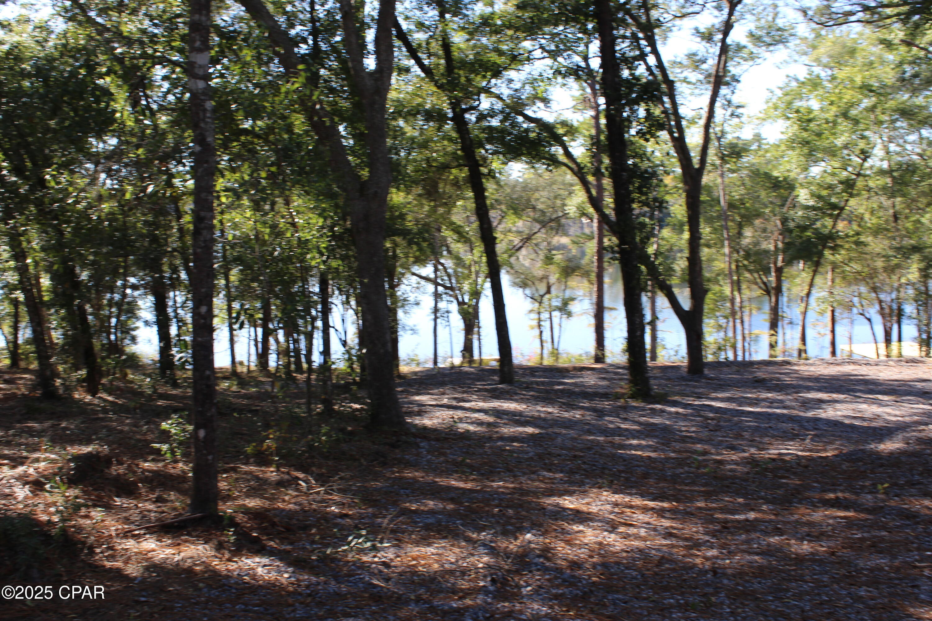 Lot 21 Paradise Lakes Road Chipley, FL 32428 - Photo 41 of 46