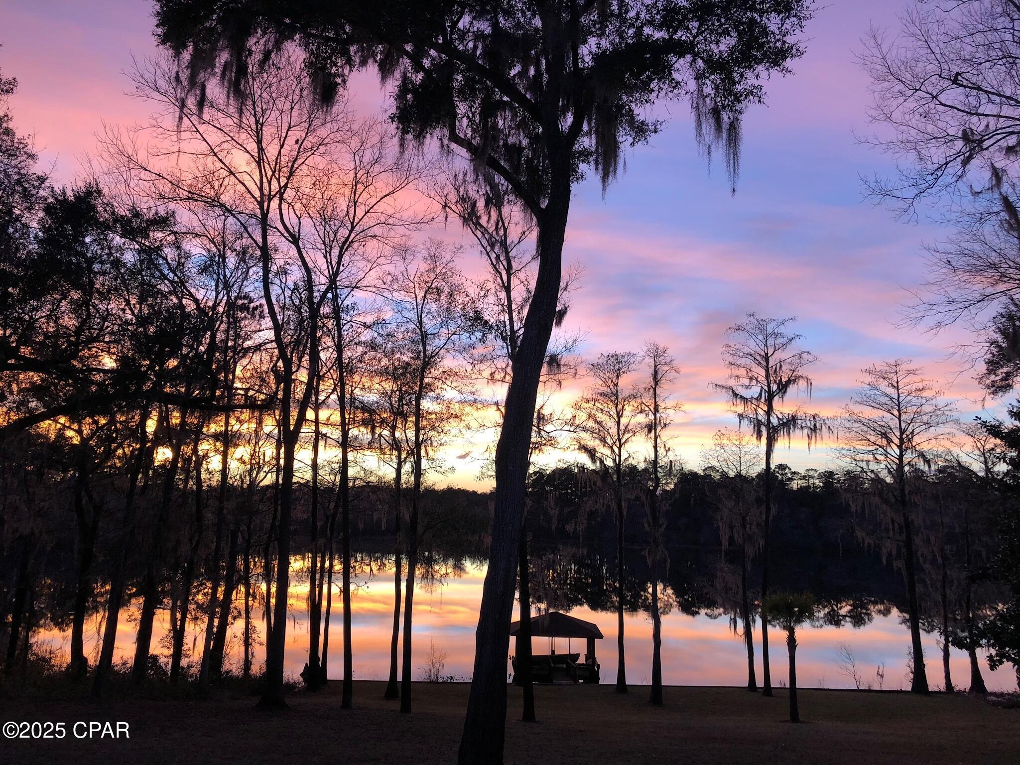 Lot 21 Paradise Lakes Road Chipley, FL 32428 - Photo 8 of 46