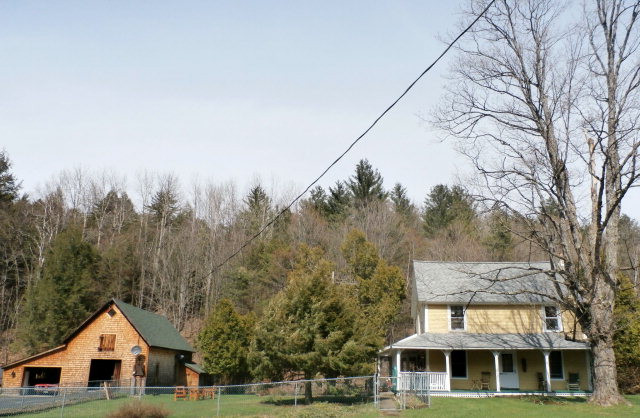 Gallery Image 1