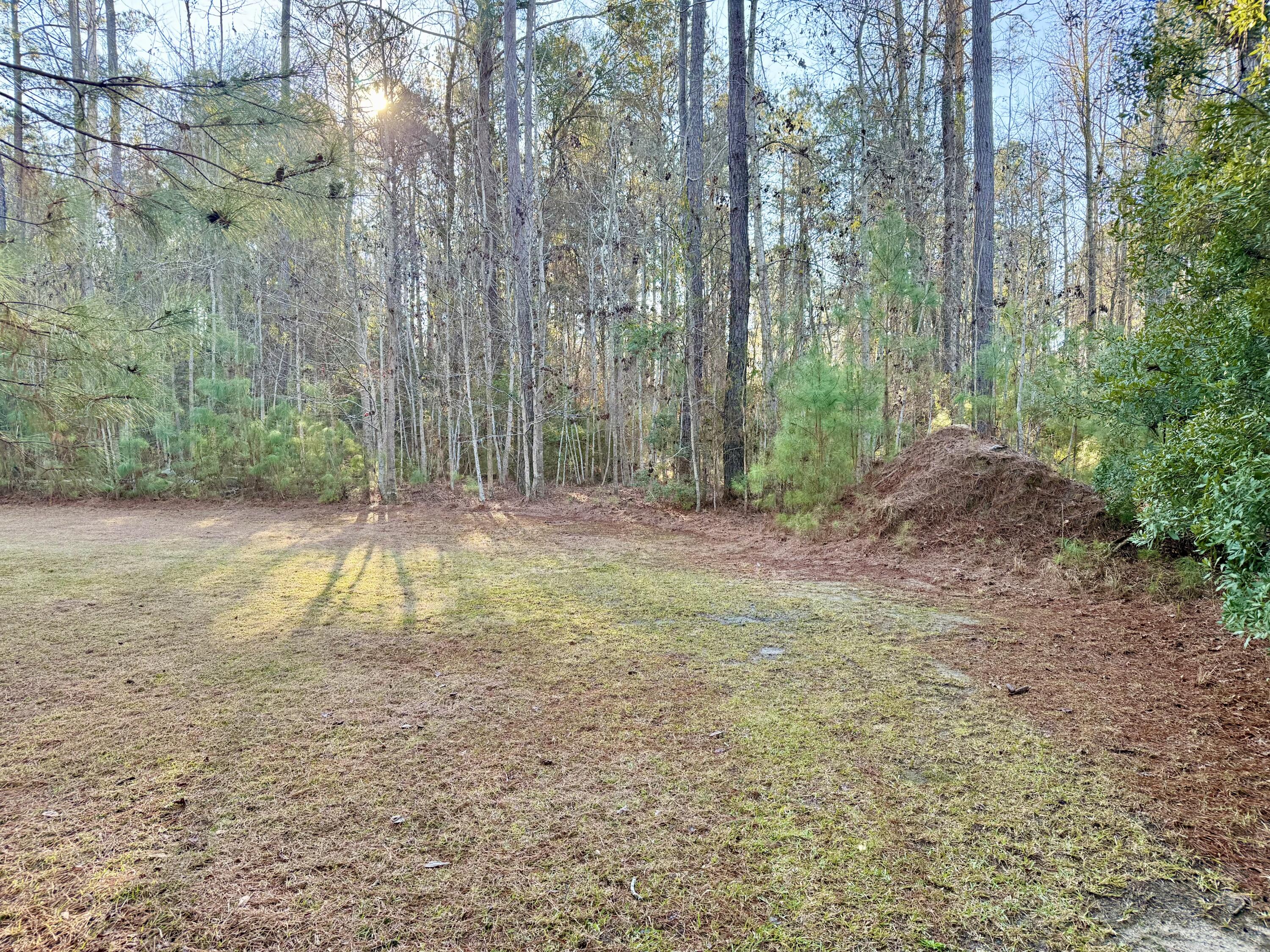 197 Acorn Road Walterboro, SC 29488 - Photo 11 of 14 IMG_1312