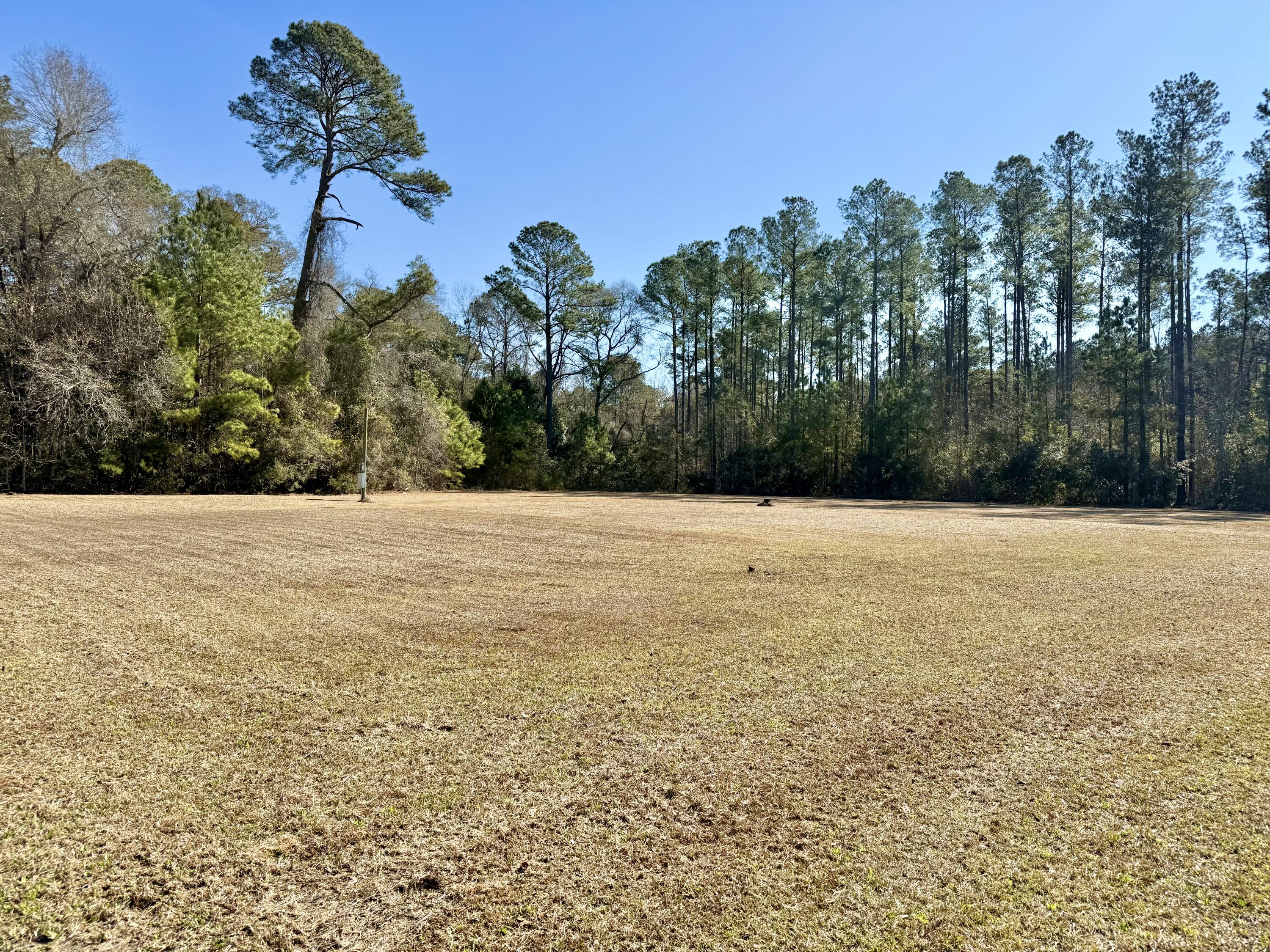 197 Acorn Road Walterboro, SC 29488 - Photo 4 of 14 IMG_1331