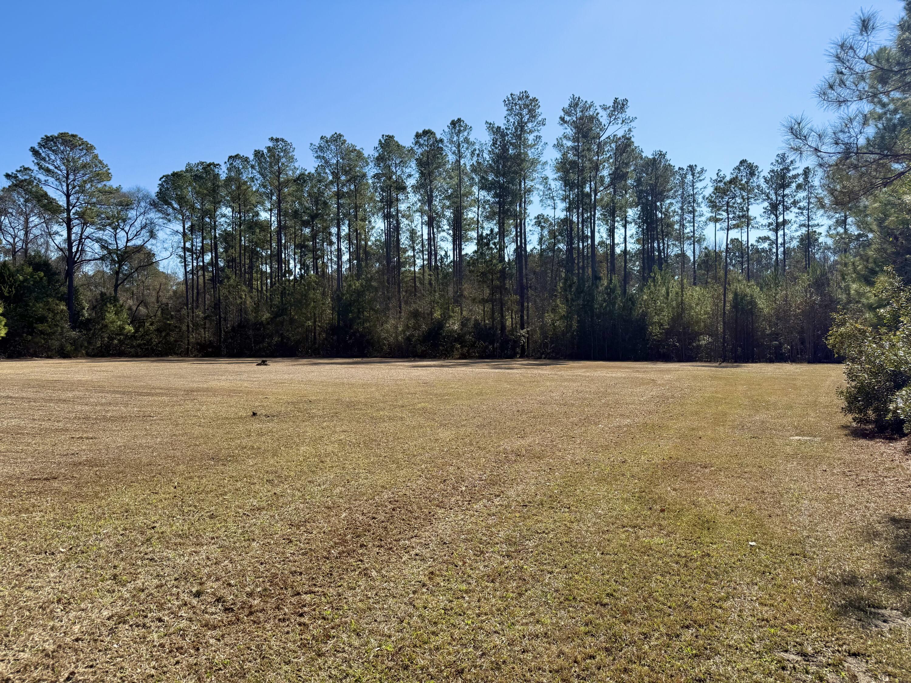 197 Acorn Road Walterboro, SC 29488 - Photo 5 of 14 IMG_1332