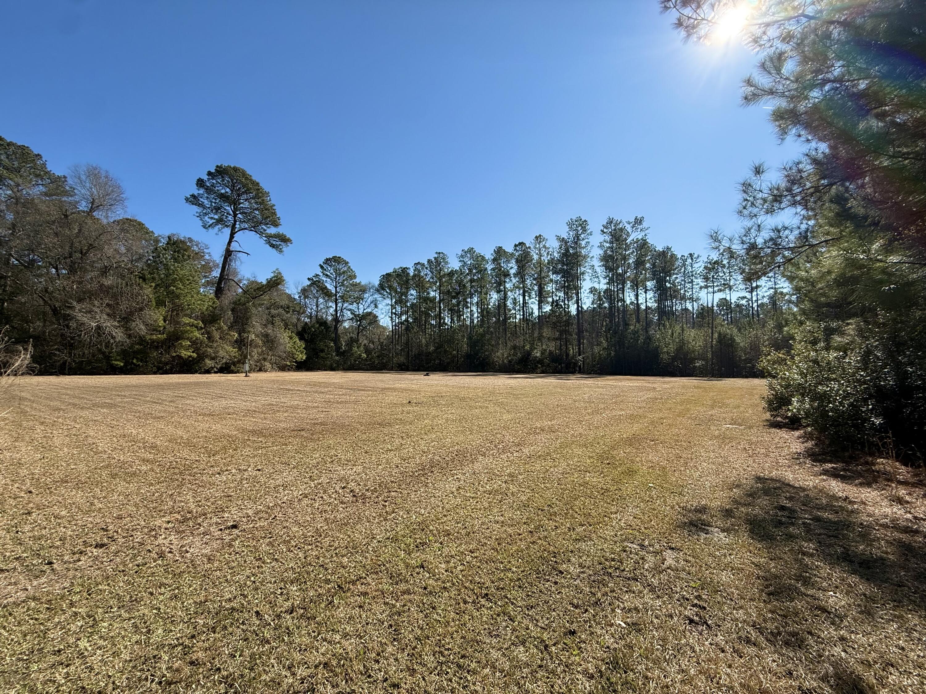 197 Acorn Road Walterboro, SC 29488 - Photo 6 of 14 IMG_1326