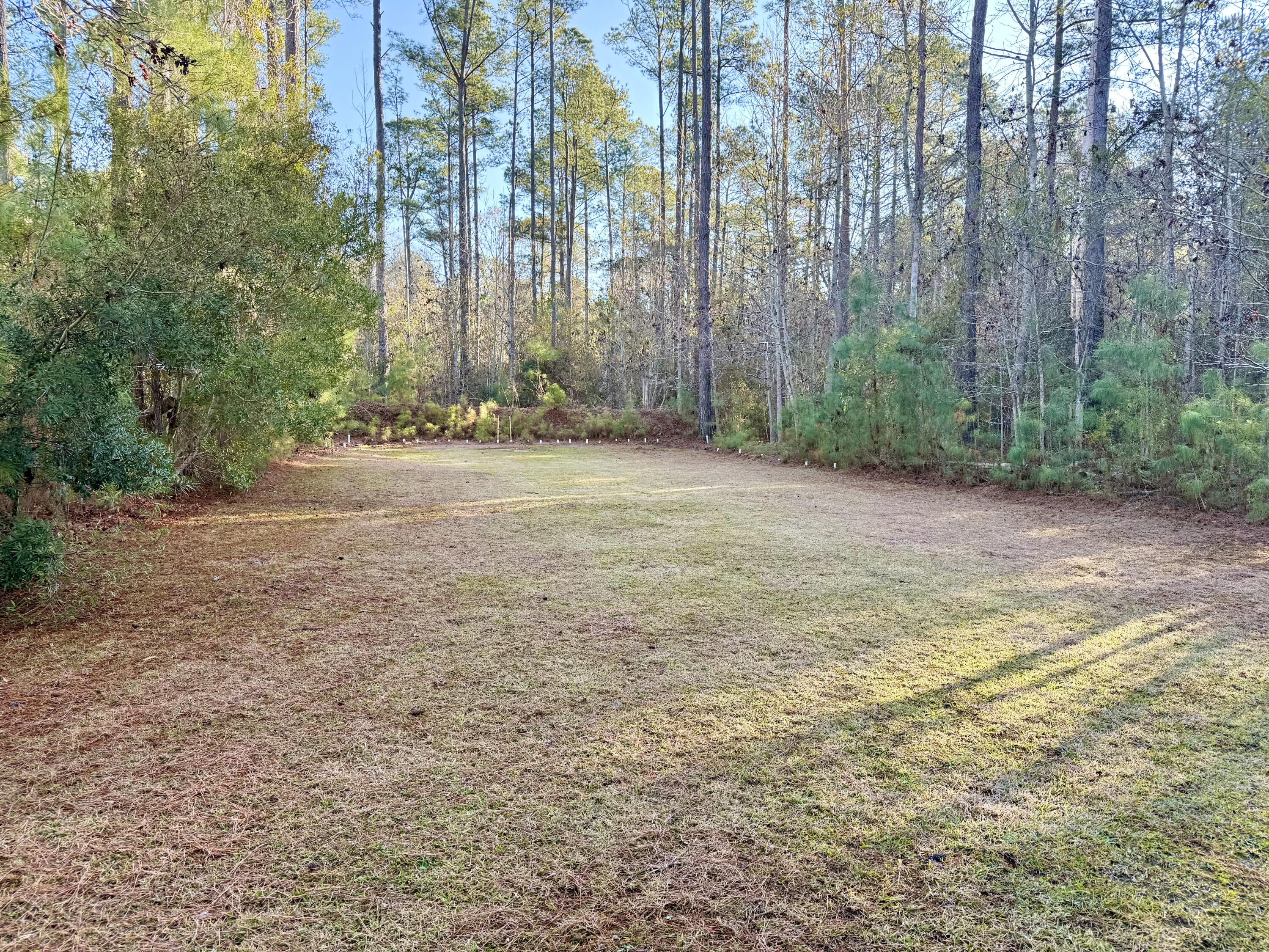 197 Acorn Road Walterboro, SC 29488 - Photo 9 of 14 IMG_1313