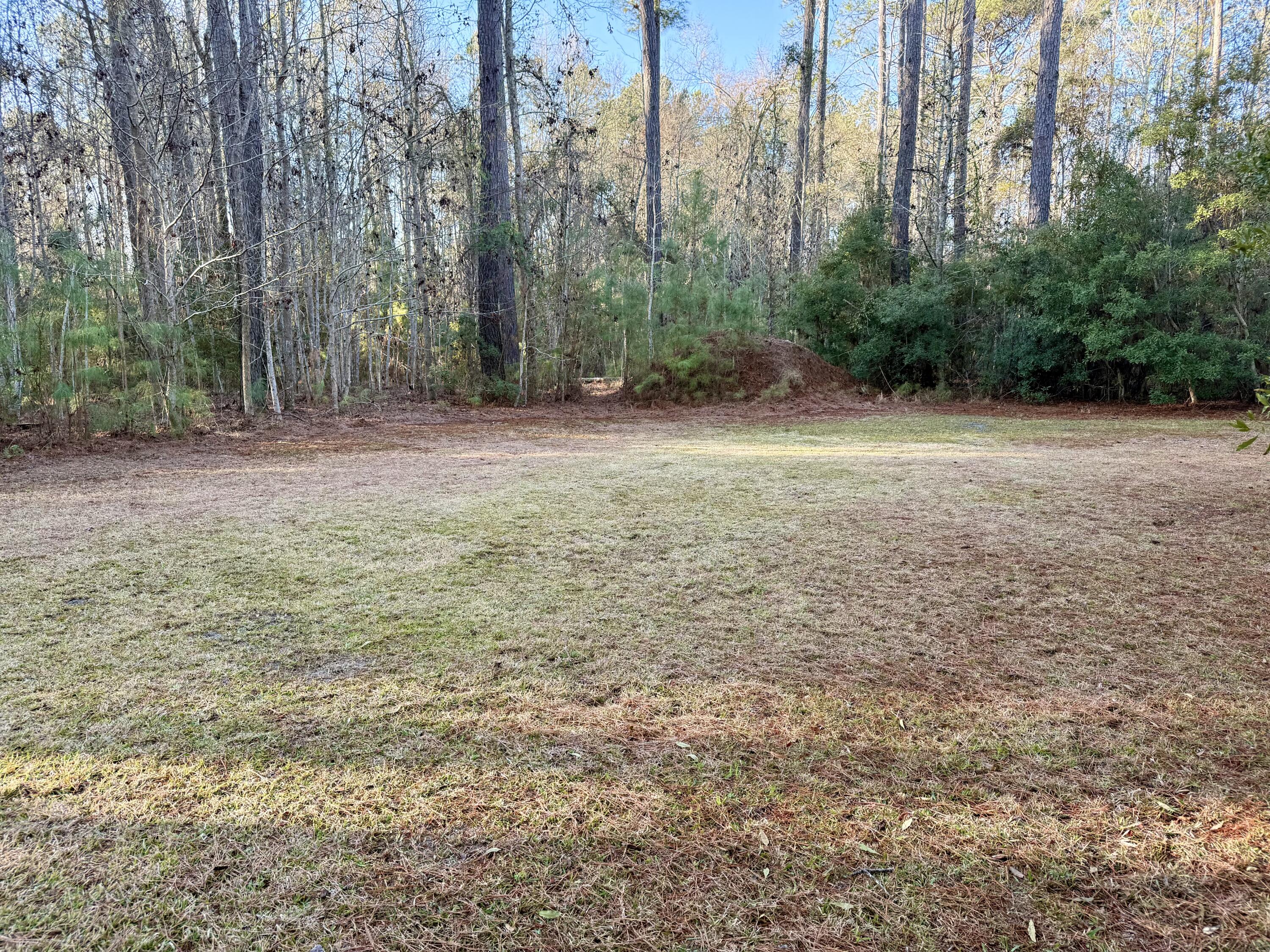 197 Acorn Road Walterboro, SC 29488 - Photo 10 of 14 IMG_1314