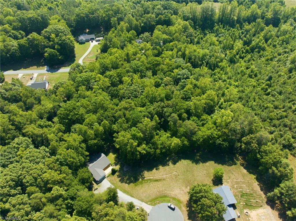 221 Farmview Road Madison, NC 27025 - Photo 44 of 45