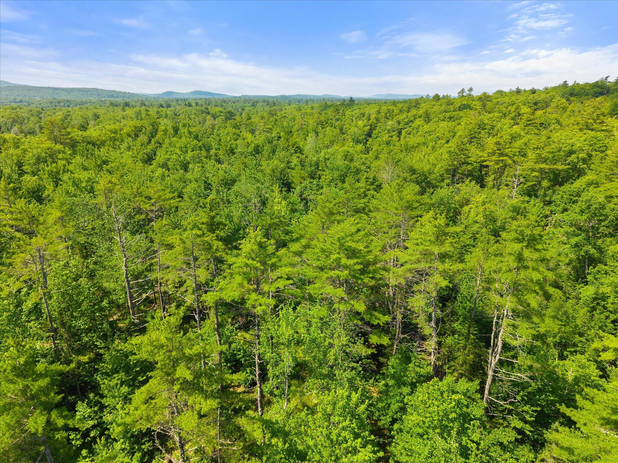 532 Lebanon Road Winterport, ME 04496 - Photo 8 of 17 08-68 Acres- Lebanon Rd