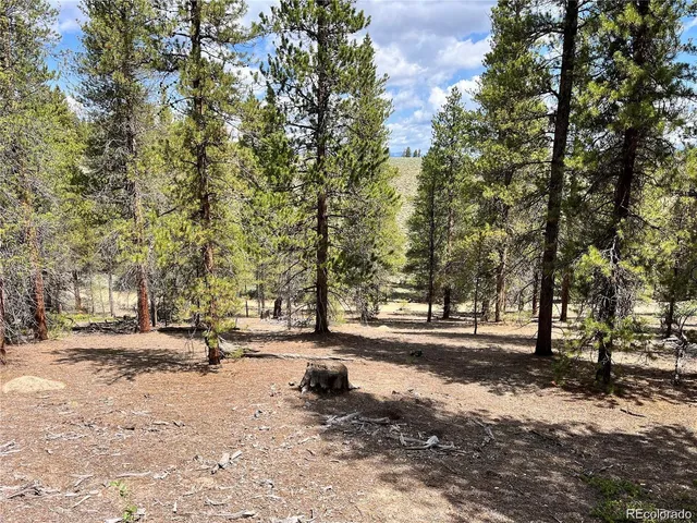 $48,000 | 66 County Road 10H-X, Twin Lakes, CO 80461