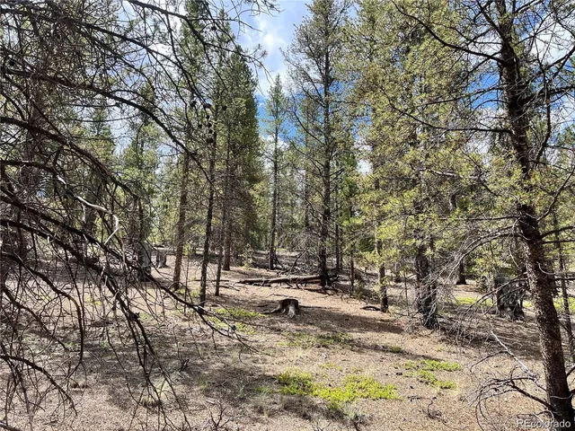 $48,000 | 66 County Road 10H-X, Twin Lakes, CO 80461