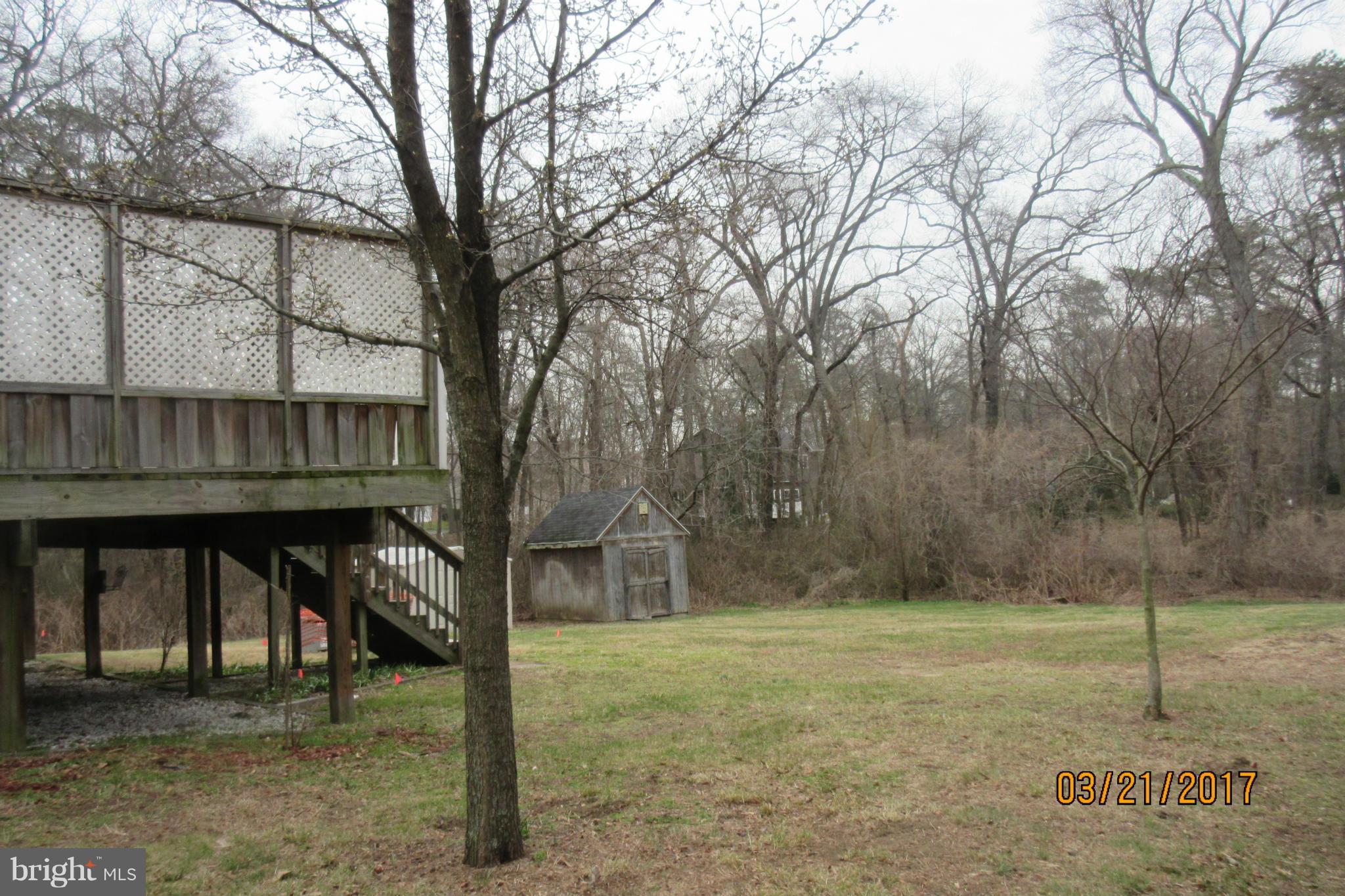 Exterior (General)
