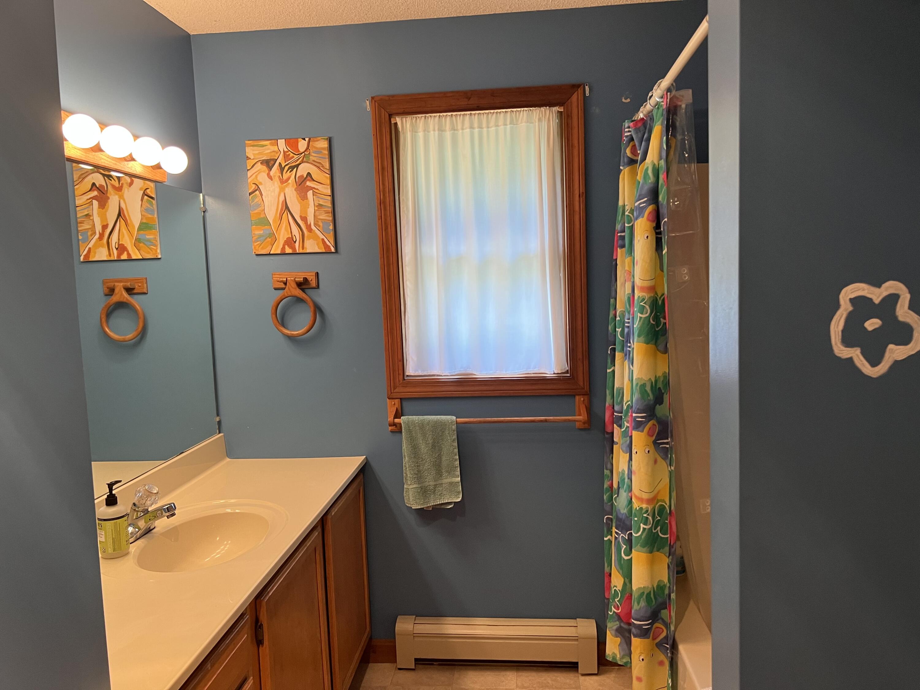 244 Lancaster Brook Road Glenburn, ME 04401 - Photo 38 of 80 bathroom