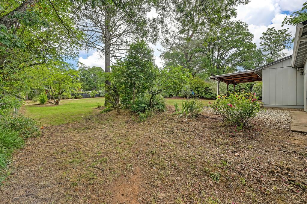 6689 Rhodes Avenue Placerville, CA 95667 - Photo 40 of 60 a view of outdoor space and yard