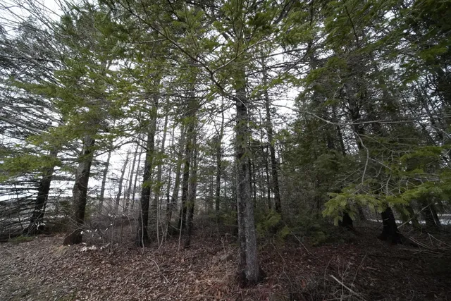 $279,500 | 212 Timoney Lake Road, Smyrna, ME 04780