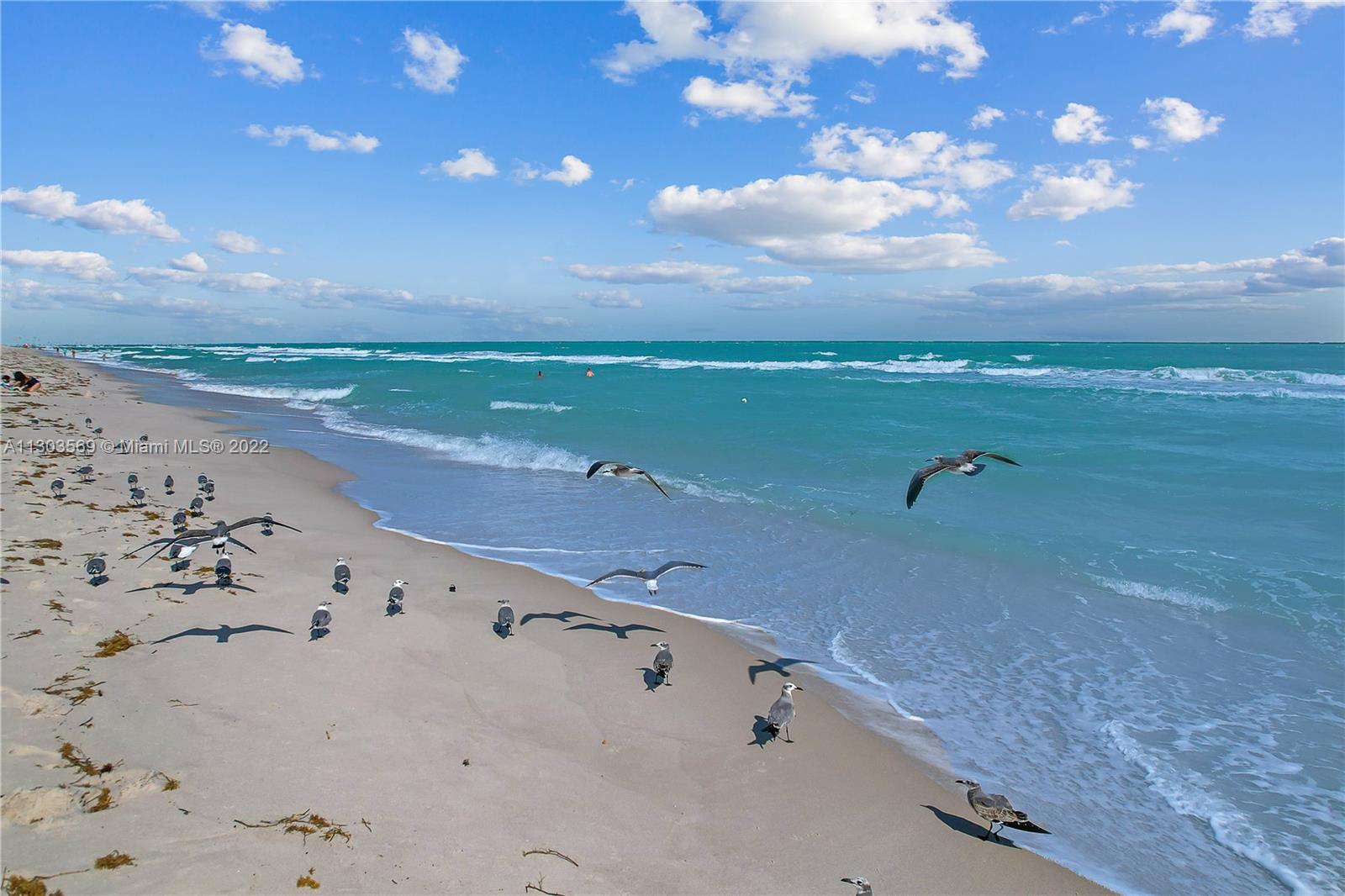 4101 Pine Tree Drive, Unit 908 Miami Beach, FL 33140 - Photo 9 of 41 a view of an ocean beach