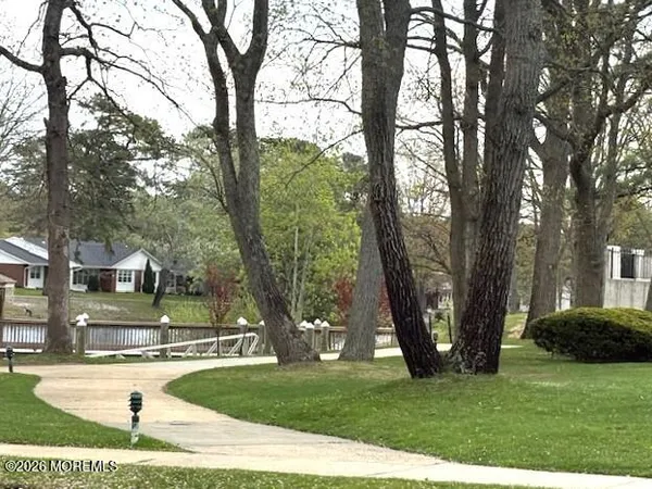 a view of yard with tree s