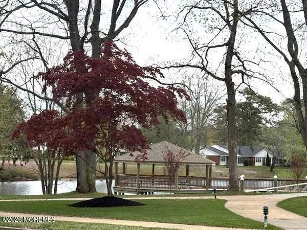 a view of a park with large trees
