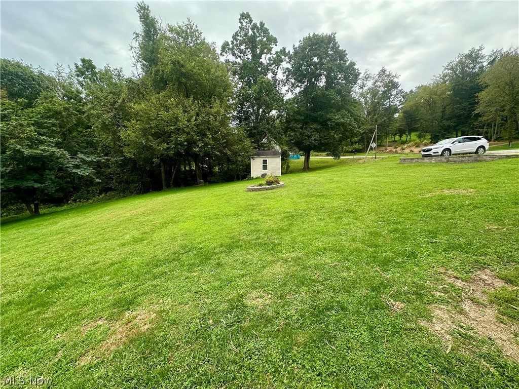4260 Apple Pie Ridge Road Wellsburg, WV 26070 - Photo 31 of 42 Large yard featuring storage shed