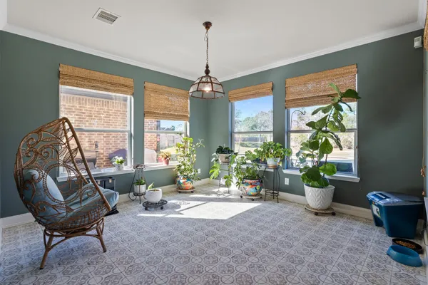a living room with furniture and a potted plant