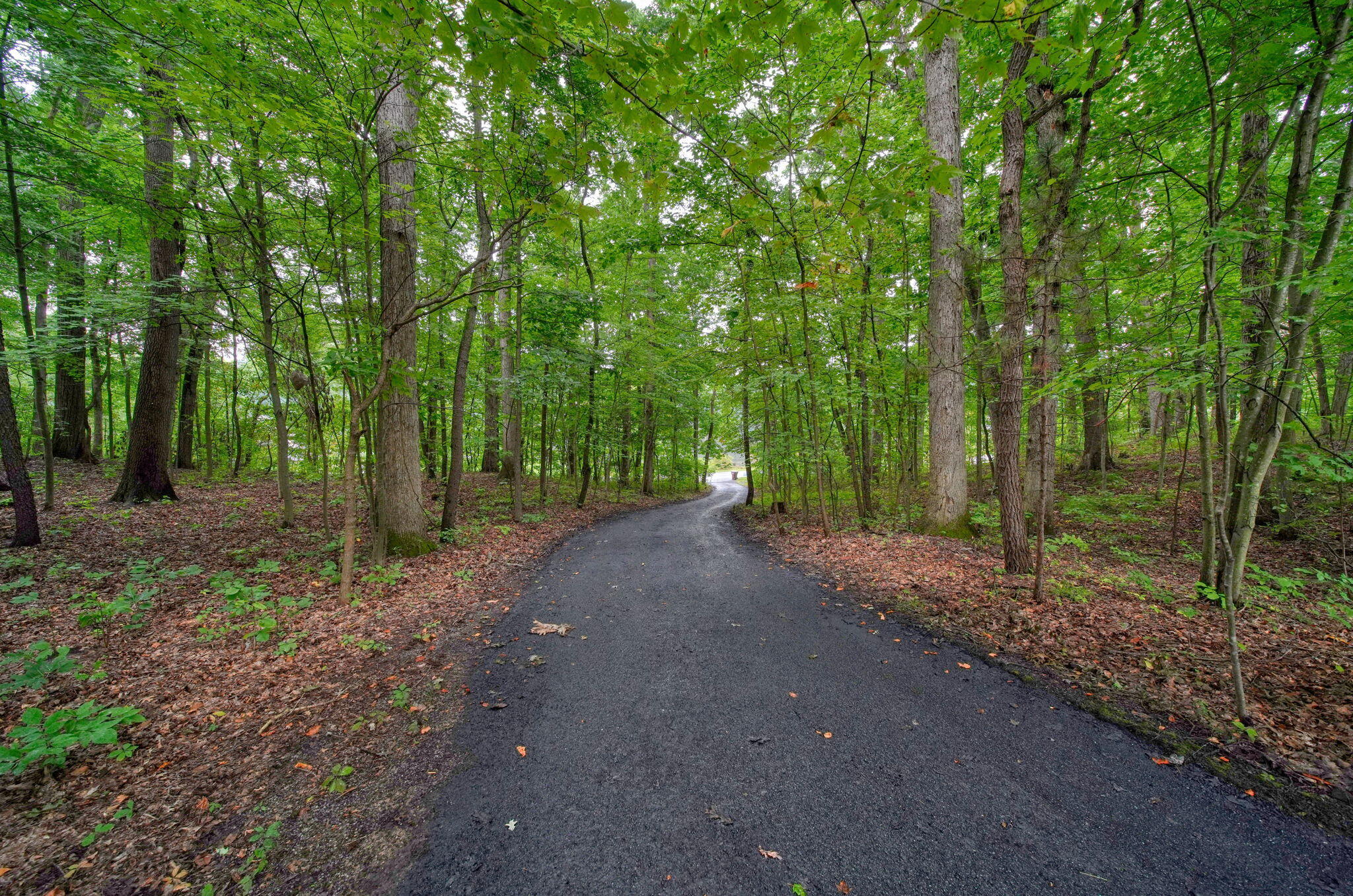 3860 Wellman Road Parma, MI 49269 - Photo 71 of 81 71