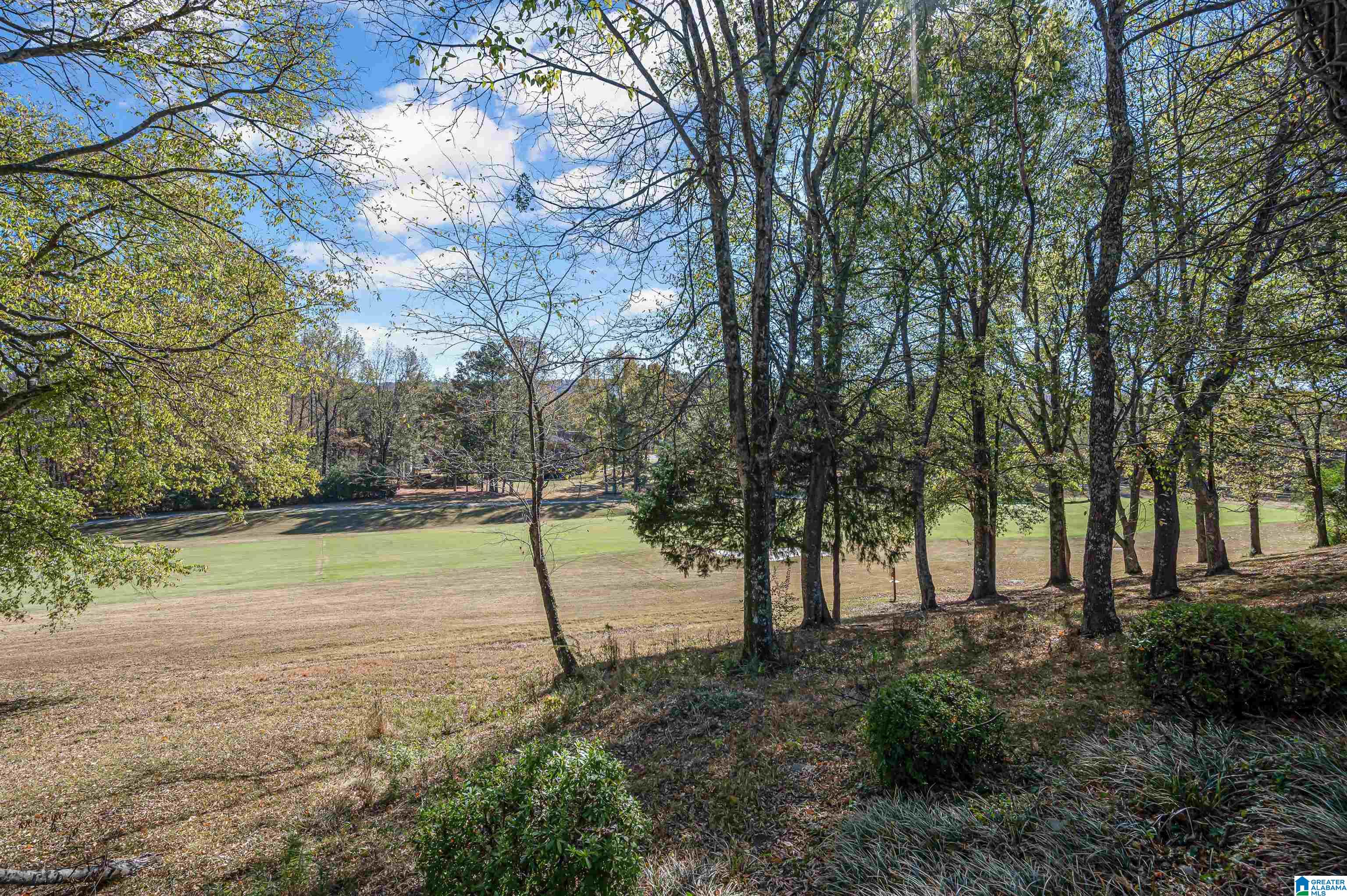 1104 Berwick Road Birmingham, AL 35242 - Photo 41 of 41