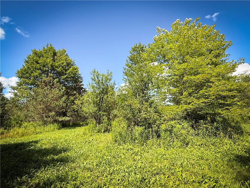 North Greenbush Road Erin, NY 14838 - Photo 26 of 46 Gallery Image 26