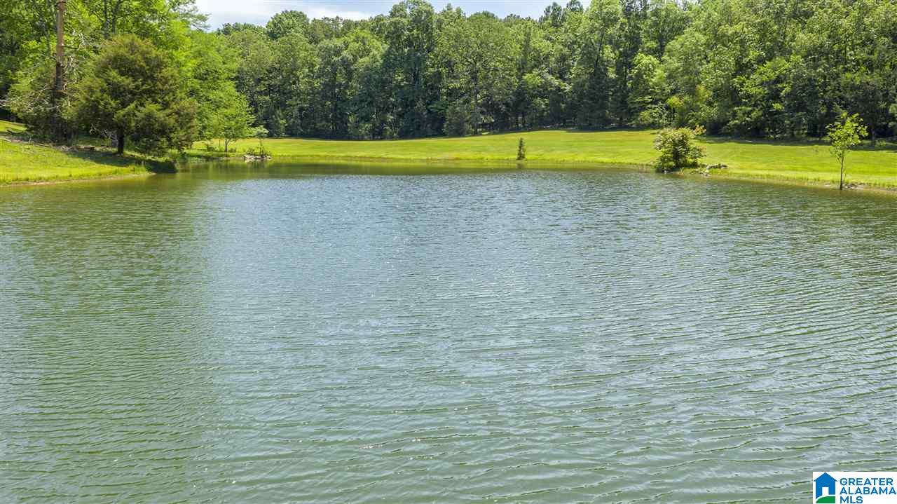 5744 Spring Creek Road Montevallo, AL 35115 - Photo 44 of 44