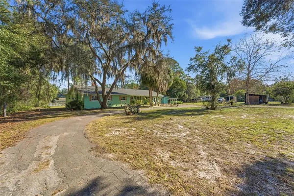 a view of outdoor space with trees all around