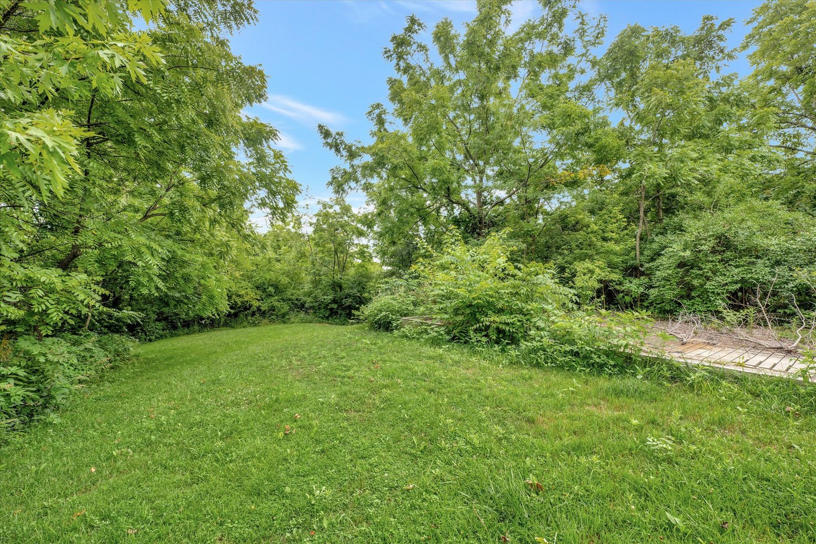 28334 Pleasant Dale Road Girard, IL 62640 - Photo 17 of 37 a view of a yard with a tree